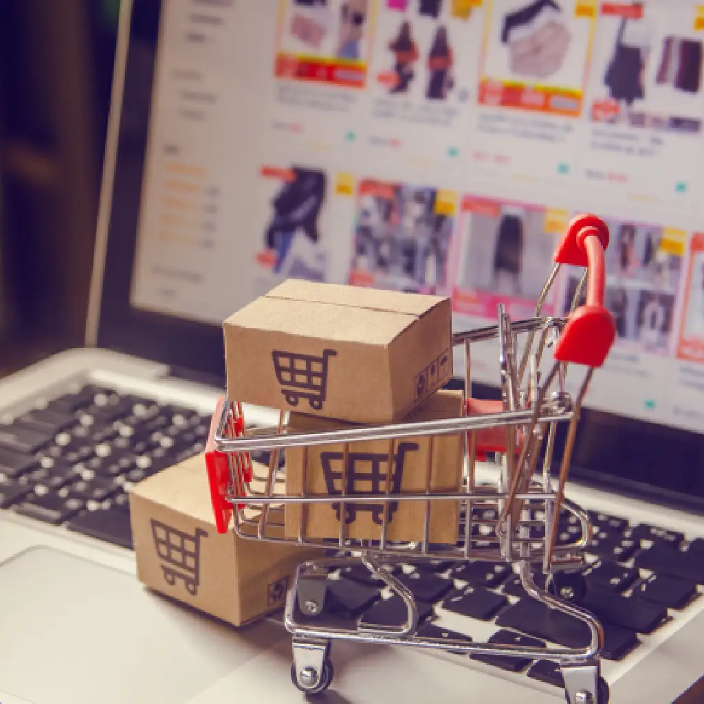 E-commerce Platform vs Online Marketplace