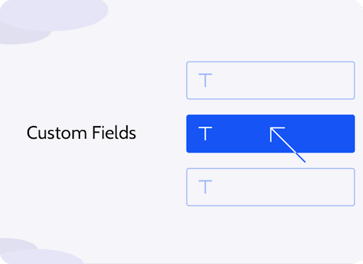 What are Custom Fields?